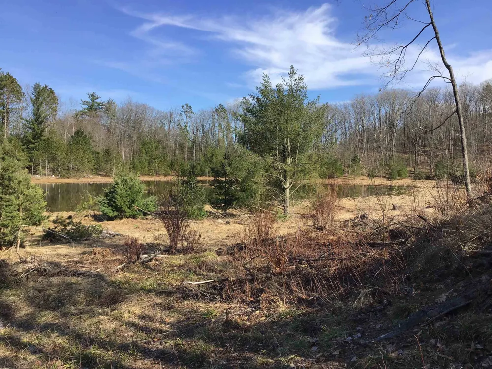 Mackinaw Trail Haring Charter Township, MI 49601