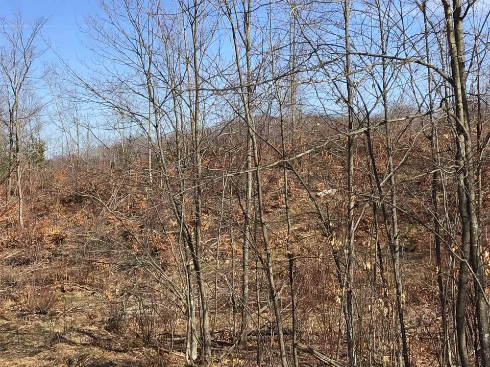 Mackinaw Trail Haring Charter Township, MI 49601