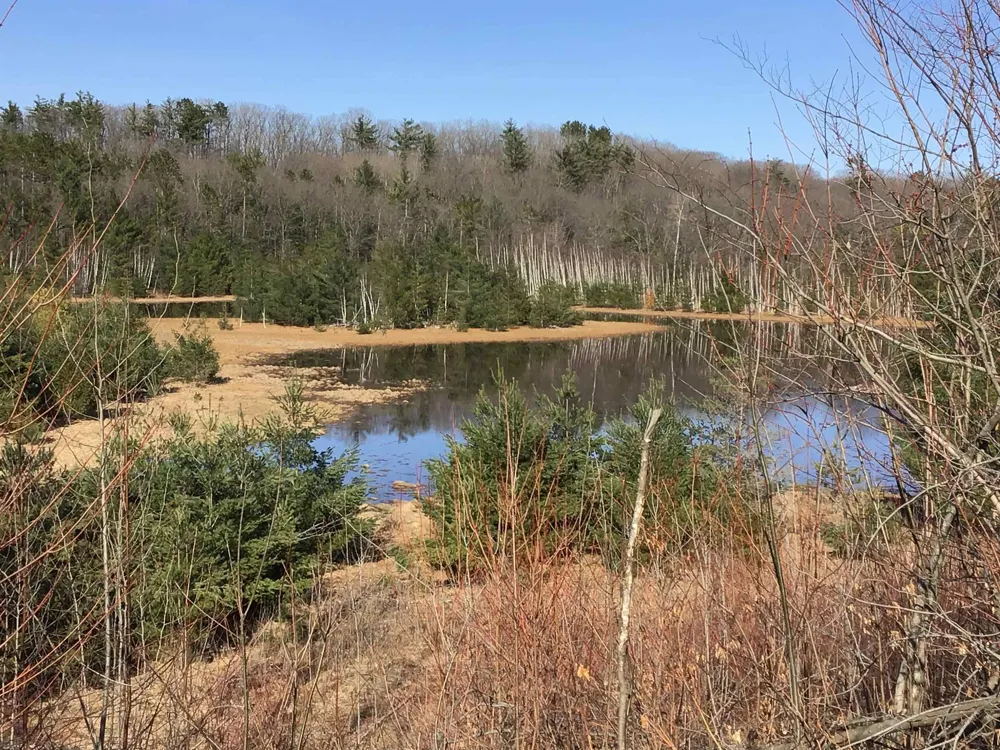 Mackinaw Trail Haring Charter Township, MI 49601