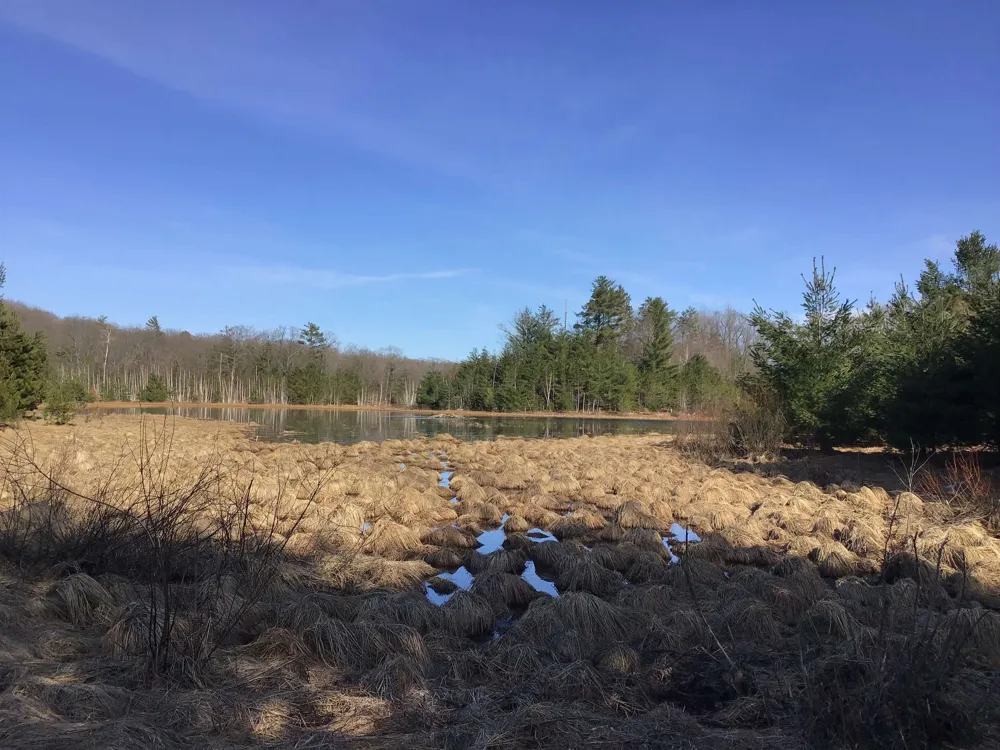 Mackinaw Trail Haring Charter Township, MI 49601