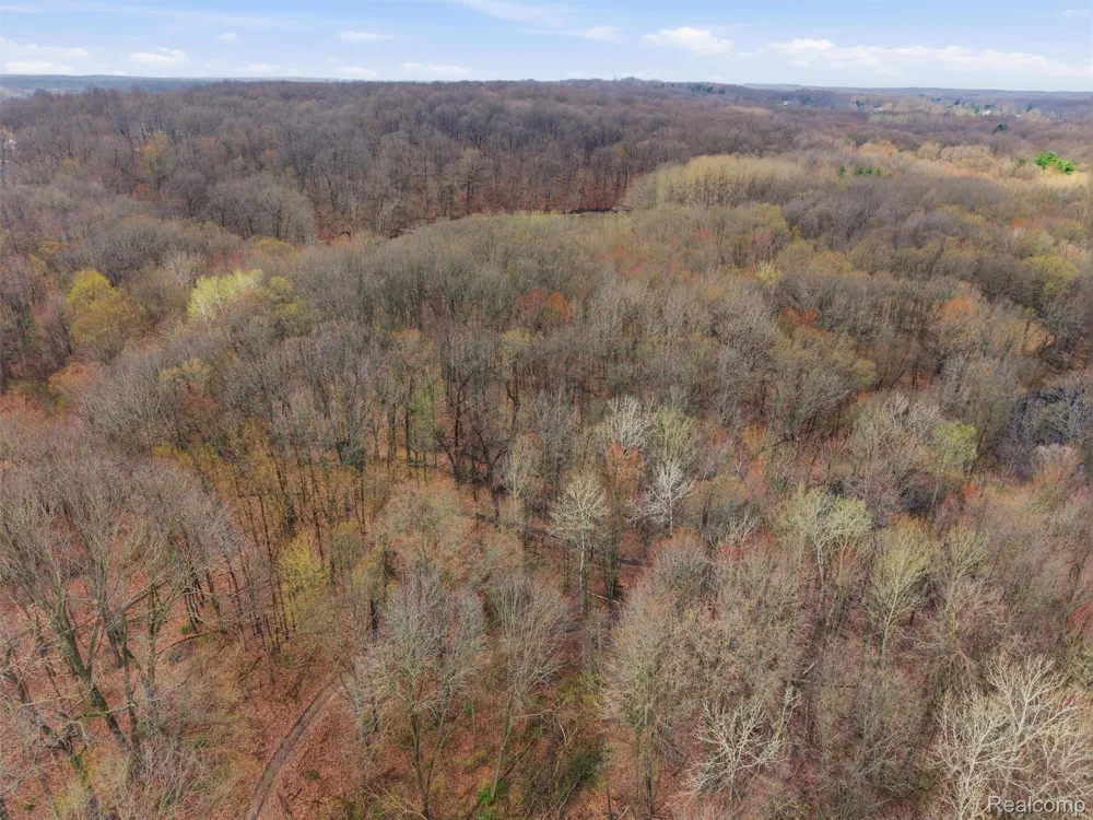 11810 Scenic Valley Springfield Charter Township, MI 48350