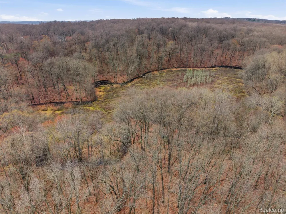 11810 Scenic Valley Springfield Charter Township, MI 48350
