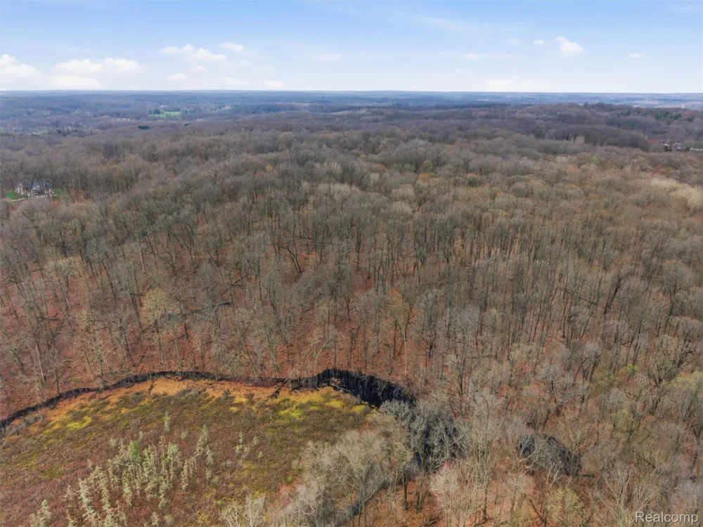 11810 Scenic Valley Springfield Charter Township, MI 48350