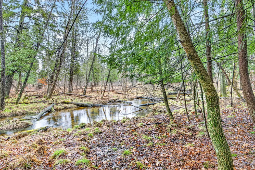 12136 Tullymore Drive ##11 Austin Township, MI 49346