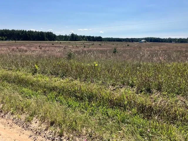 Walton Road Paradise Township, MI 49649