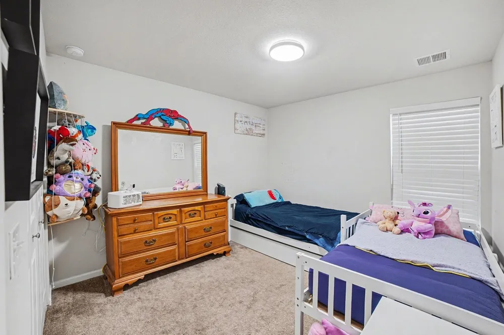 1541 Batson Place Mt Pleasant City, MI 48858