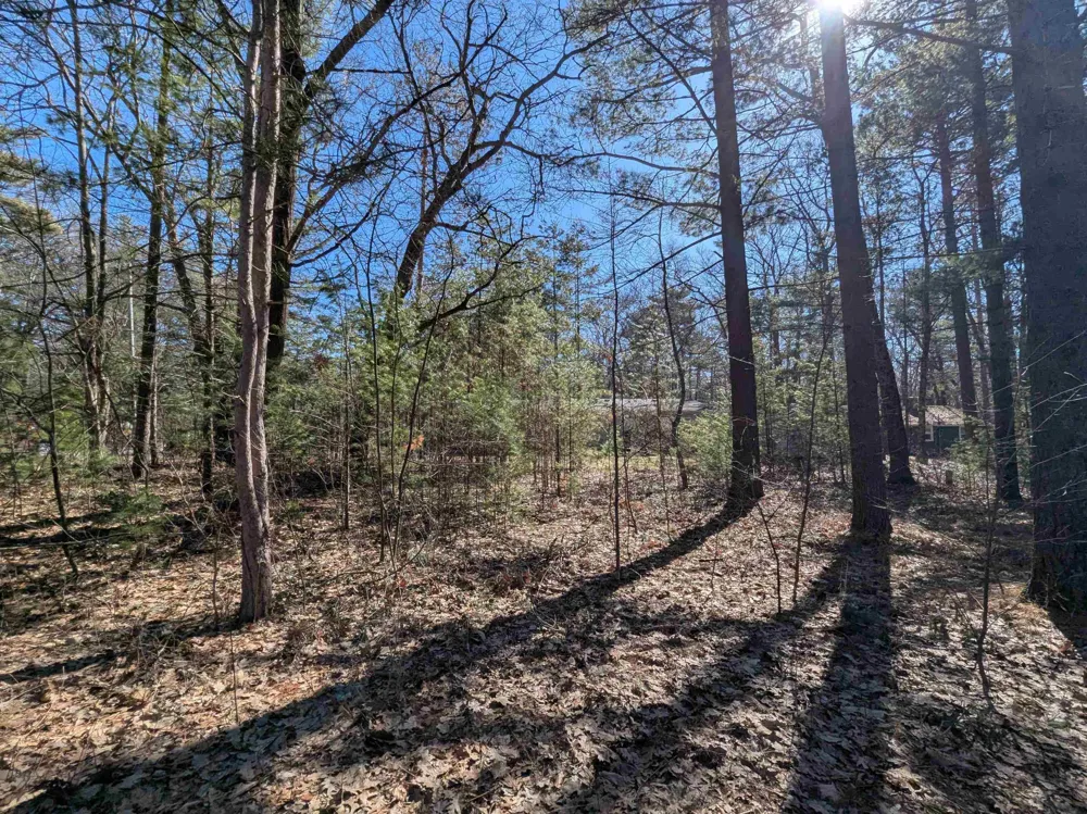5150 E Michigan Avenue Sims Township, MI 48703