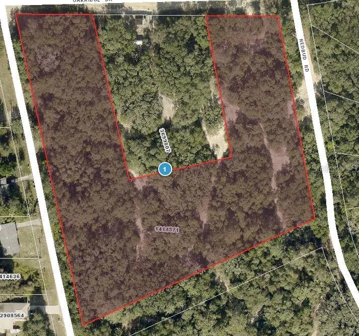TBD MAGNOLIA STREET Lady Lake, FL 32159