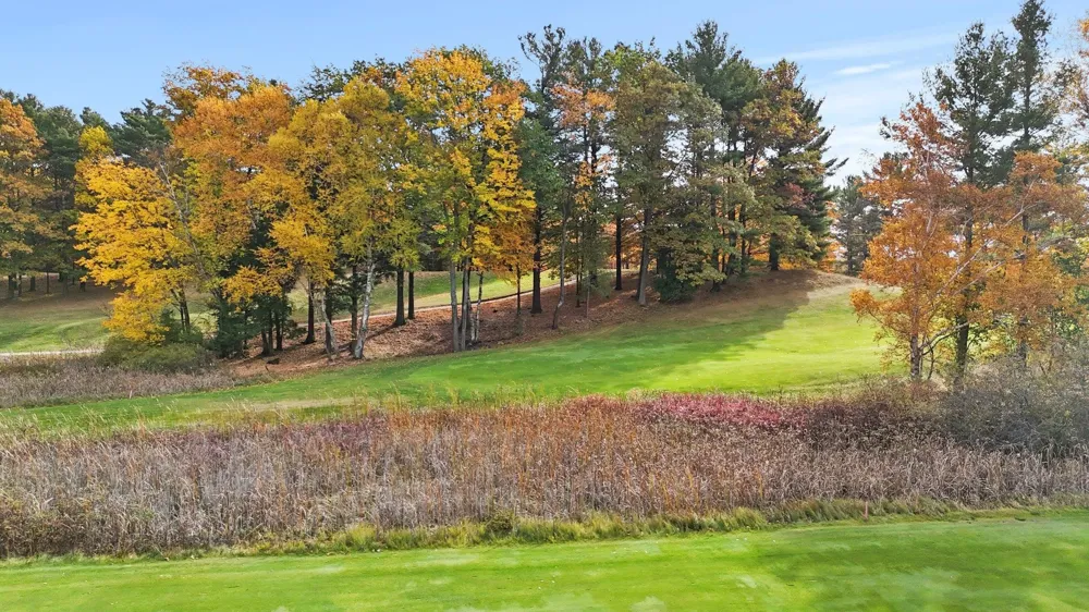 Country Club Leland Township, MI 49654