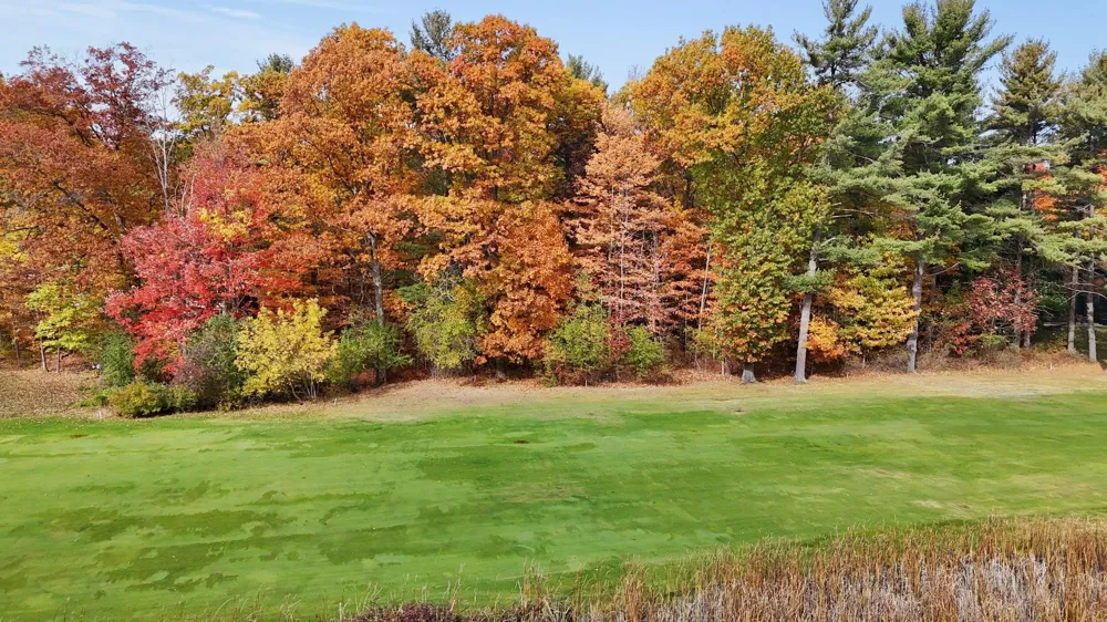 Country Club Leland Township, MI 49654
