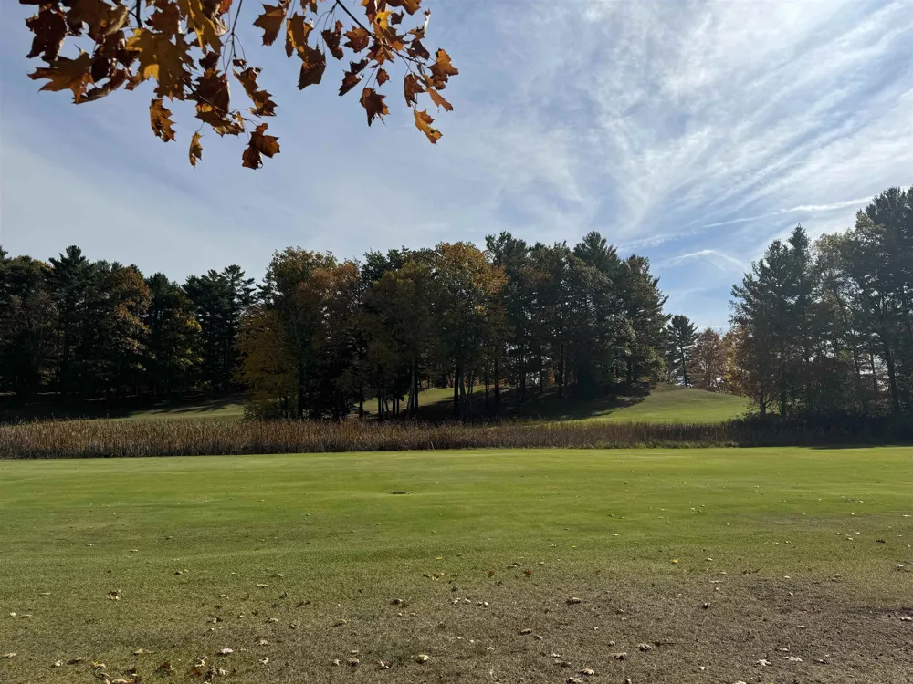 Country Club Leland Township, MI 49654