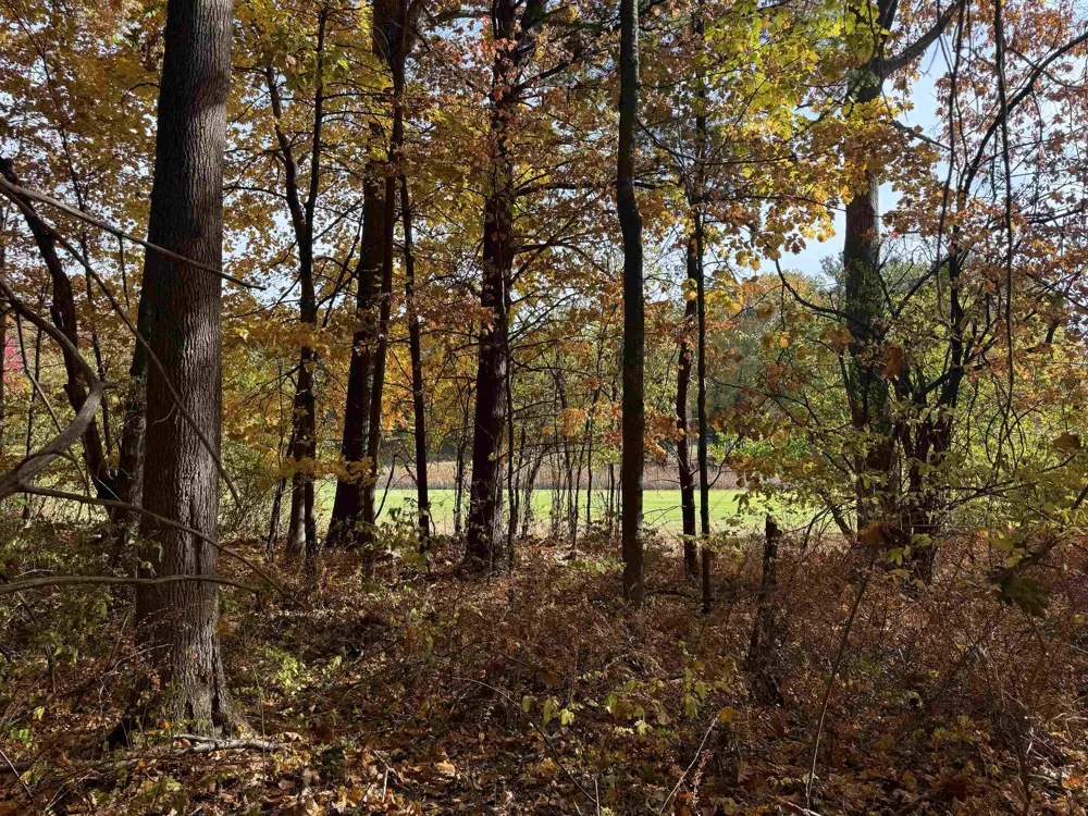 Country Club Leland Township, MI 49654