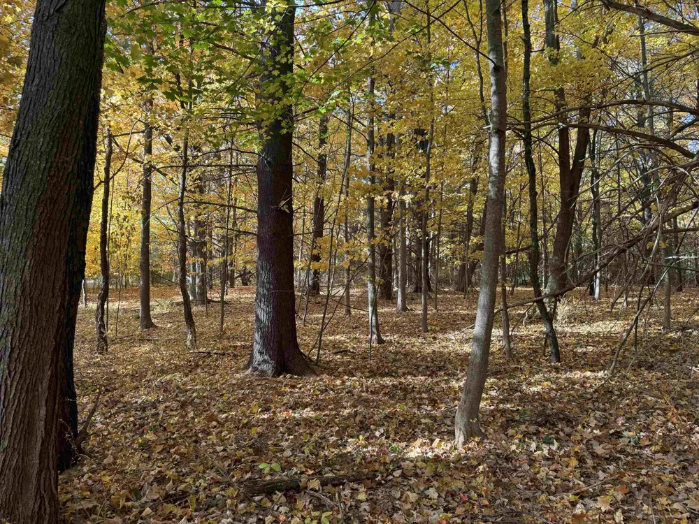 Country Club Leland Township, MI 49654
