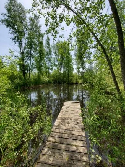 1120 S Loomis Road Chippewa Township, MI 48858