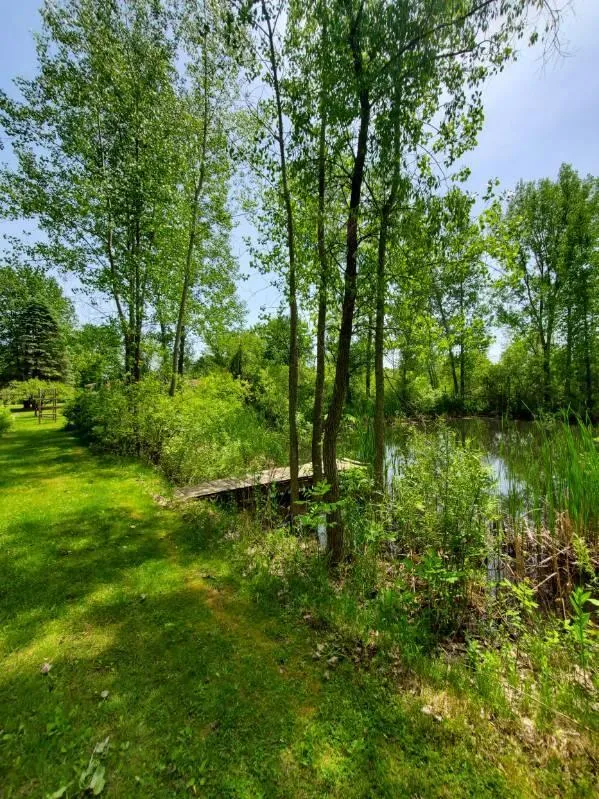 1120 S Loomis Road Chippewa Township, MI 48858