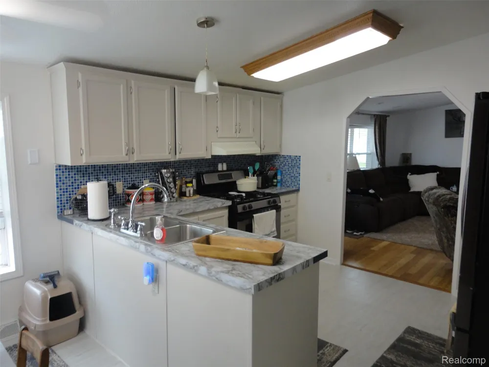 815 Jacobs Landing Raisinville Township, MI 48161