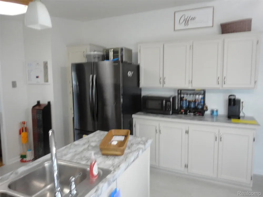 815 Jacobs Landing Raisinville Township, MI 48161