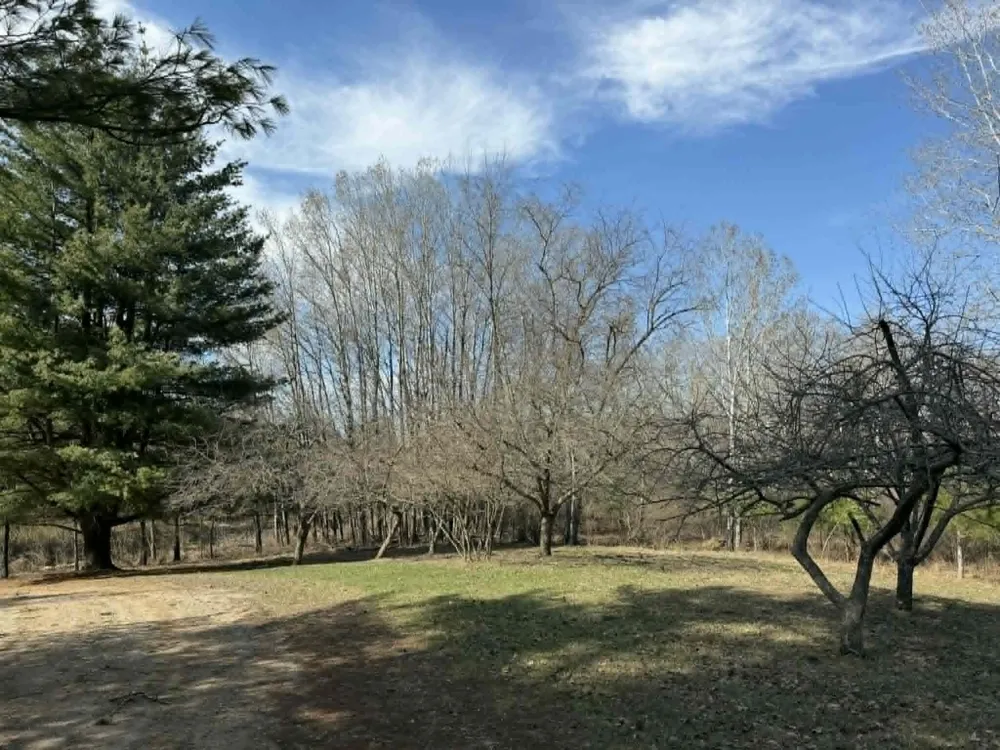 21632 90th Avenue Chippewa Township, MI 49631