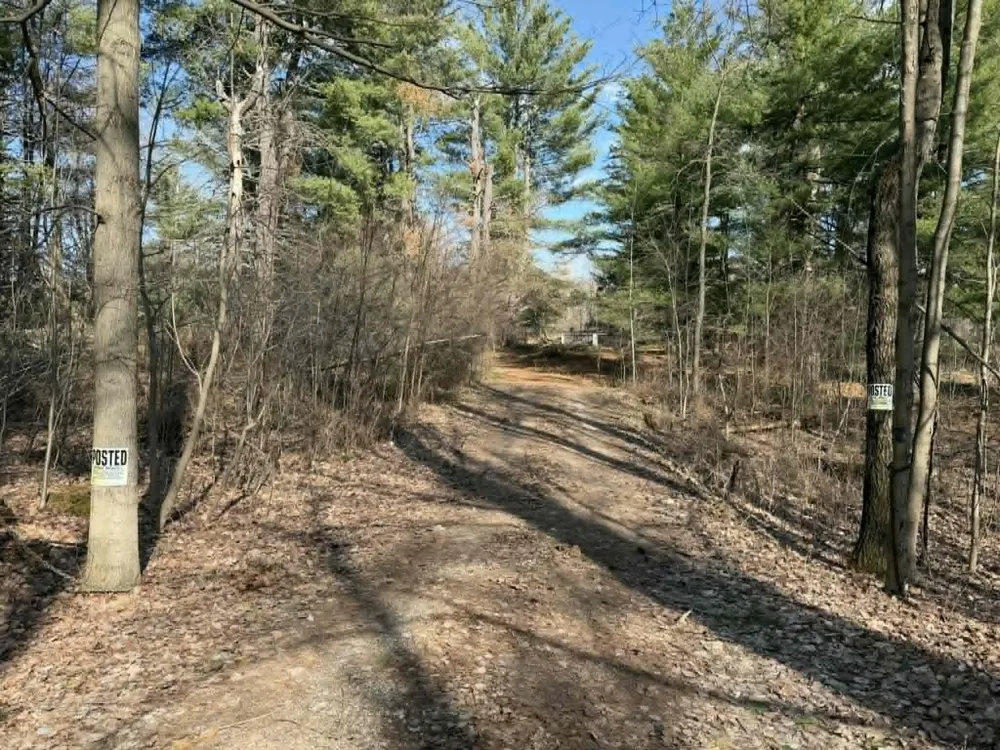 21632 90th Avenue Chippewa Township, MI 49631