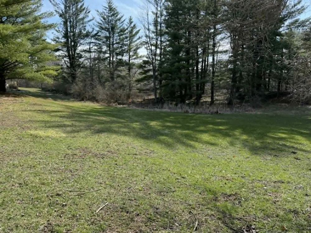 21632 90th Avenue Chippewa Township, MI 49631