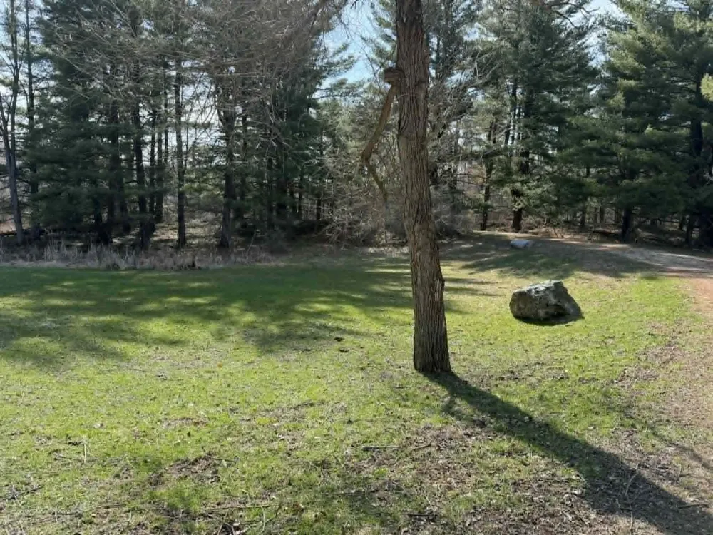 21632 90th Avenue Chippewa Township, MI 49631