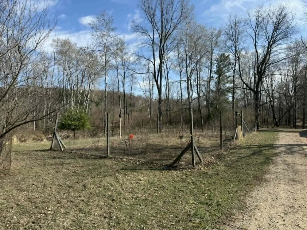 21632 90th Avenue Chippewa Township, MI 49631