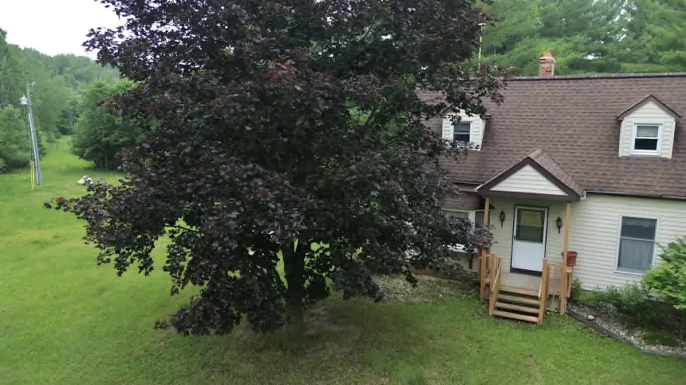 21632 90th Avenue Chippewa Township, MI 49631