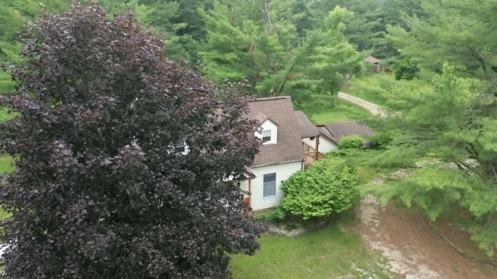 21632 90th Avenue Chippewa Township, MI 49631