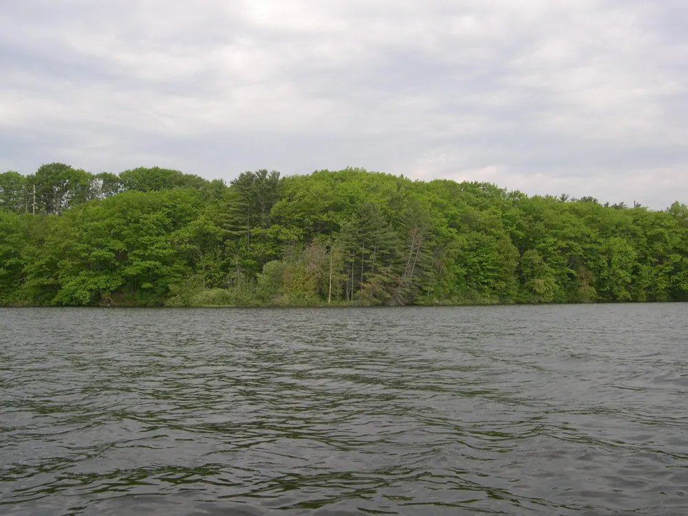 1565 Edgewater Ridge Traverse City City, MI 49684