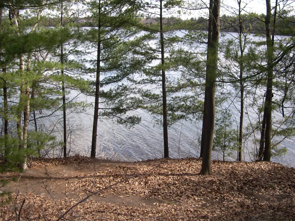 1565 Edgewater Ridge Traverse City City, MI 49684