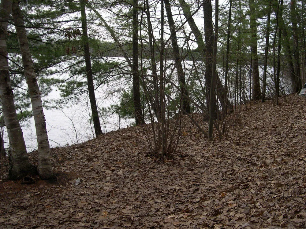 1565 Edgewater Ridge Traverse City City, MI 49684