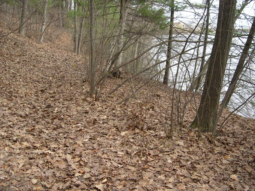 1565 Edgewater Ridge Traverse City City, MI 49684