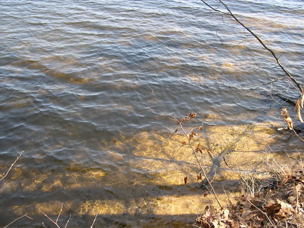 1565 Edgewater Ridge Traverse City City, MI 49684