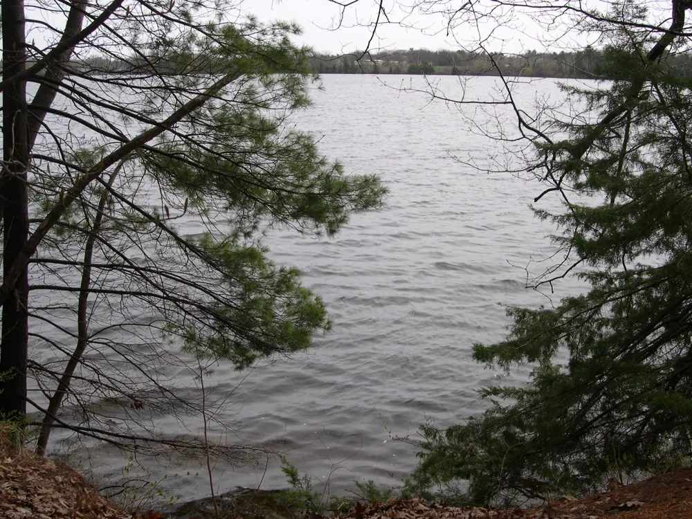 1565 Edgewater Ridge Traverse City City, MI 49684
