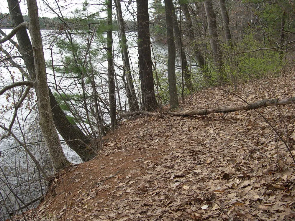1573 Edgewater Ridge Traverse City City, MI 49684