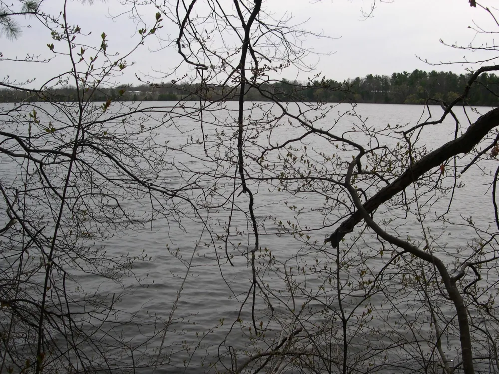 1573 Edgewater Ridge Traverse City City, MI 49684