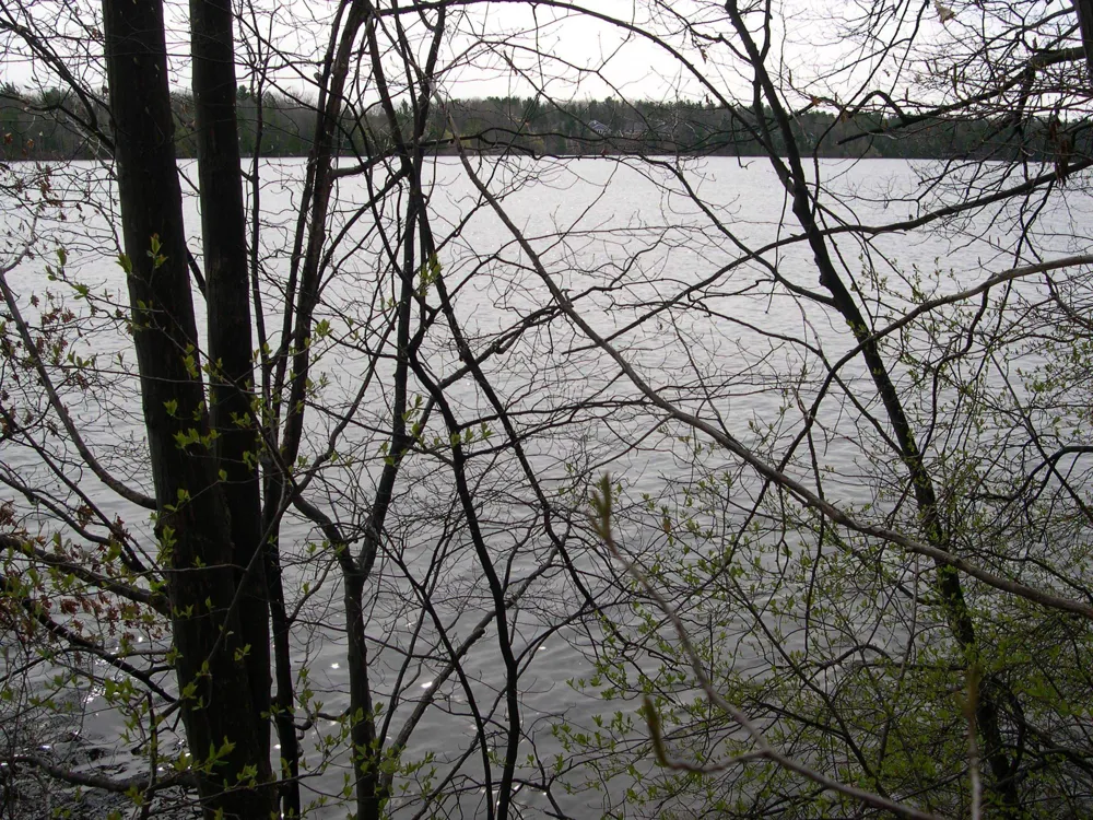 1573 Edgewater Ridge Traverse City City, MI 49684