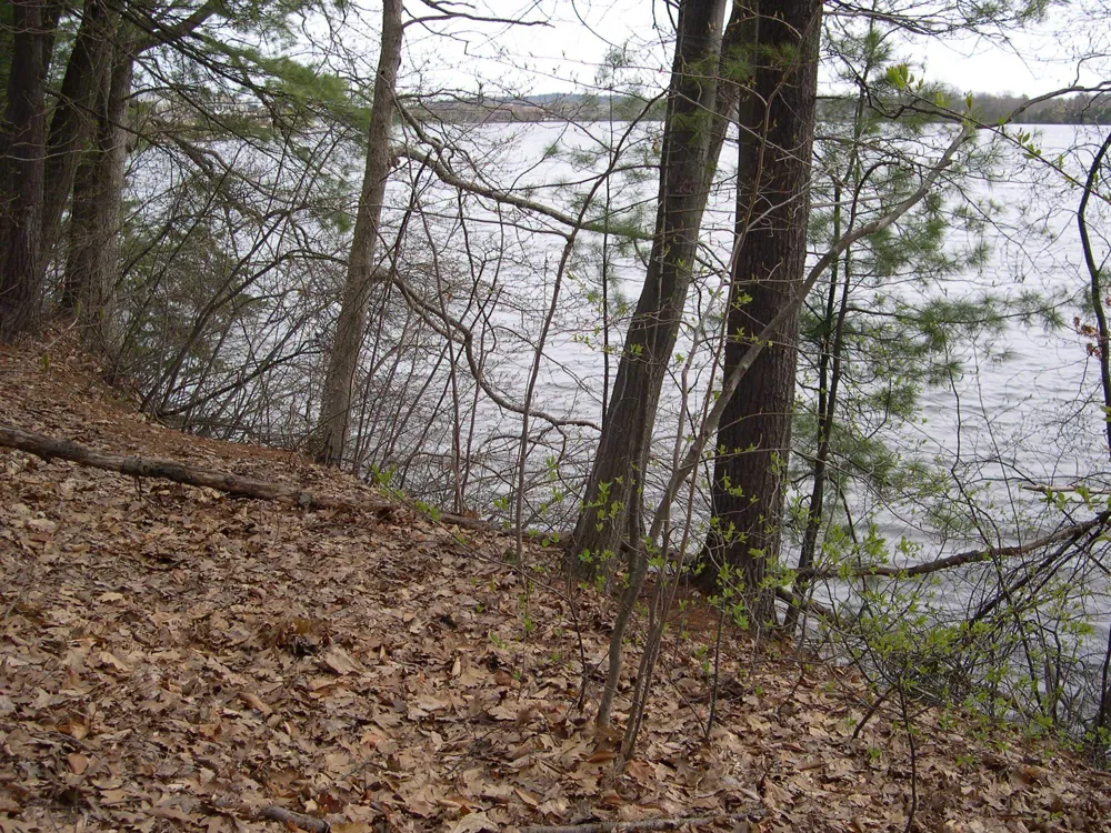 1573 Edgewater Ridge Traverse City City, MI 49684