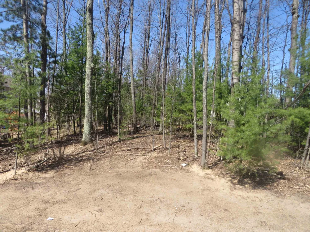 8796 Cedar Creek Drive Springvale Township, MI 49770