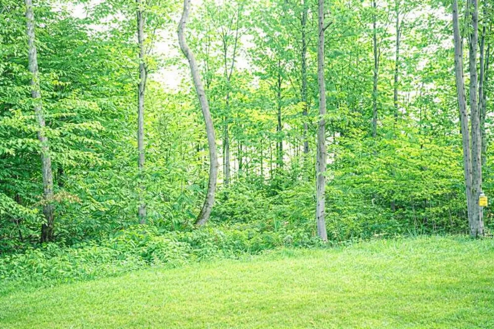 8796 Cedar Creek Drive Springvale Township, MI 49770