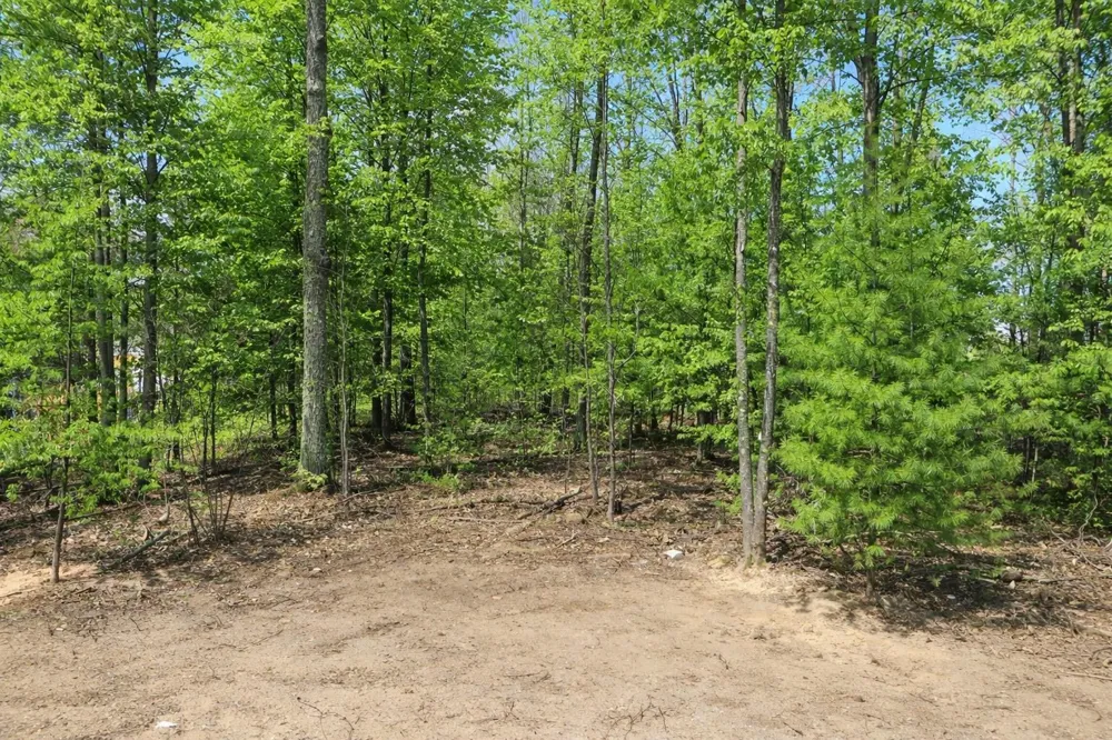 8796 Cedar Creek Drive Springvale Township, MI 49770