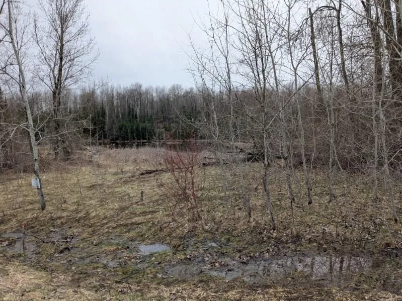 Lakeview Drive Hill Township, MI 48739
