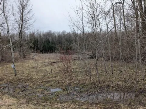 Lakeview Drive