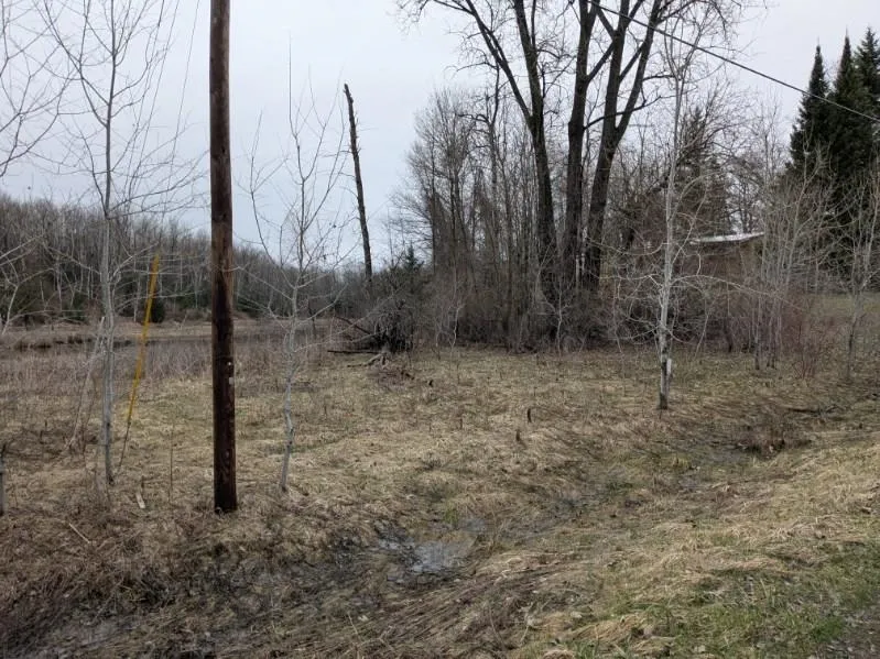 Lakeview Drive Hill Township, MI 48739