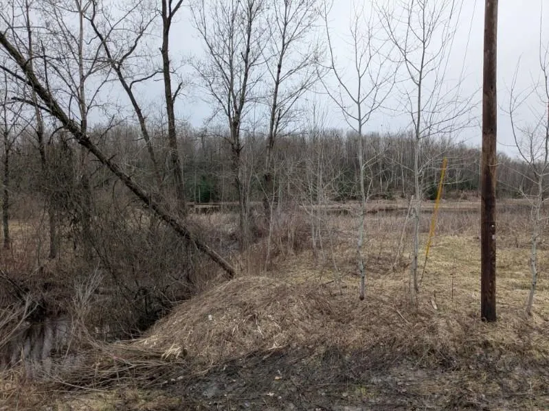 Lakeview Drive Hill Township, MI 48739