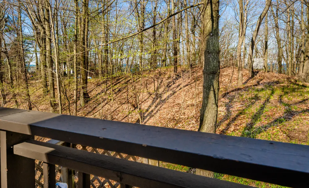 28310 Shorewood Drive Covert Township, MI 49043