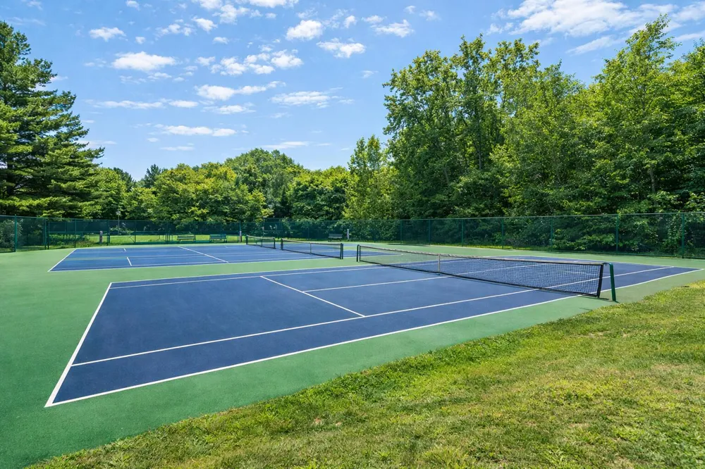 28310 Shorewood Drive Covert Township, MI 49043