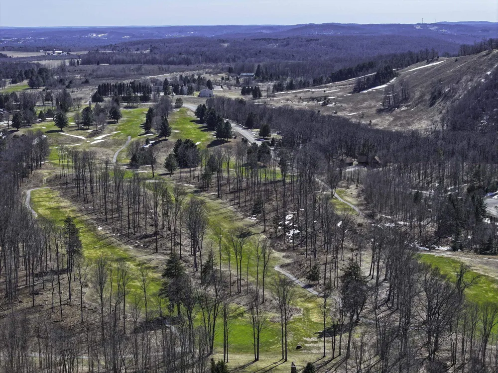 S Bay Bluffs Drive Cleveland Township, MI 49621