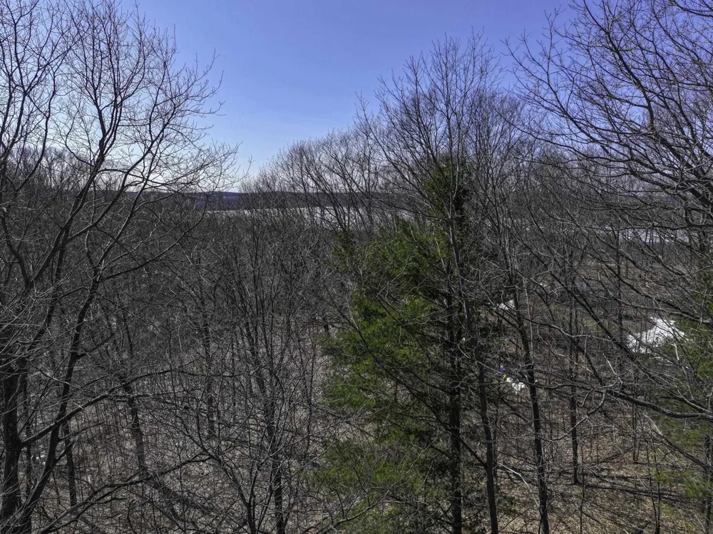 S Bay Bluffs Drive Cleveland Township, MI 49621