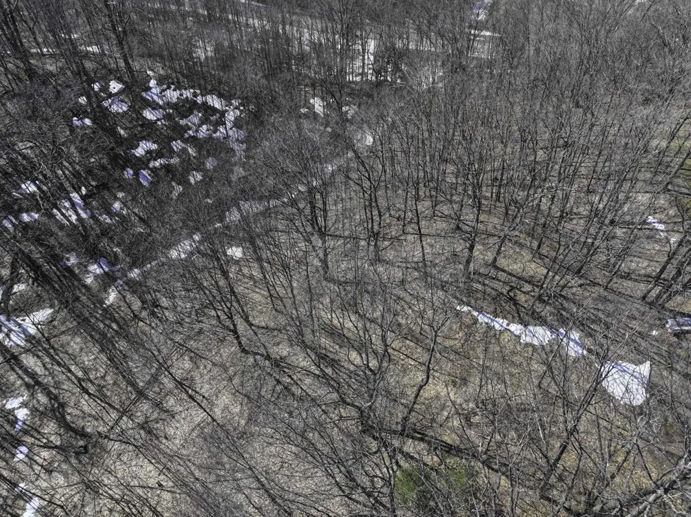 S Bay Bluffs Drive Cleveland Township, MI 49621